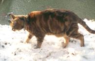 Brrrrr, chilly!
